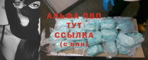 стаф Аркадак