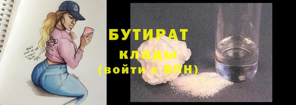 стаф Аркадак