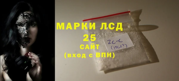 стаф Аркадак