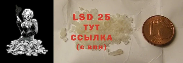 стаф Аркадак