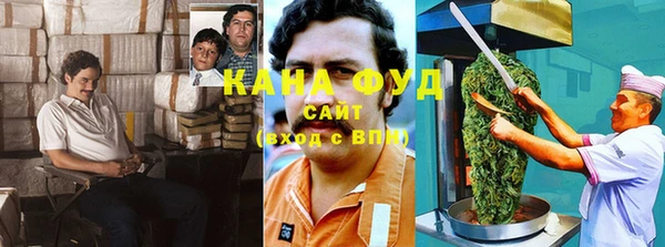 стаф Аркадак