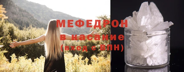 стаф Аркадак